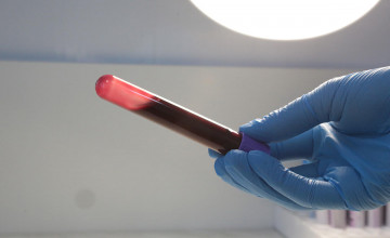 Город доноров