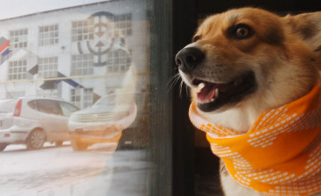 Трассу «Тёплого забега» проверил серьёзный инспектор