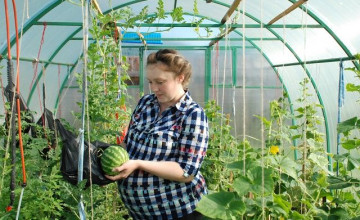 Алёну Ковину будут оперировать 6 часов