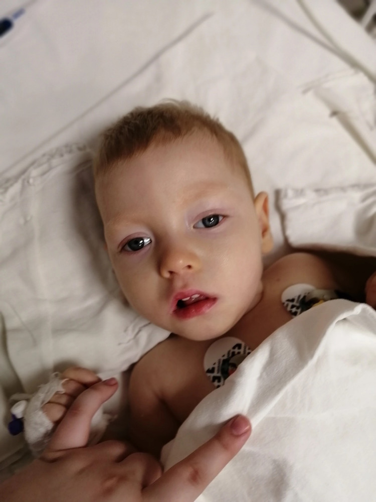 Катя Анисимова: январь 2023