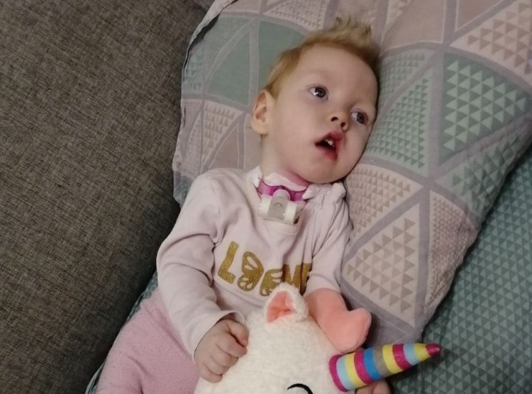 Катя Анисимова: декабрь 2021