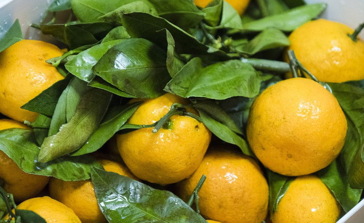 Вручение детских желаний в 230 км от Перми