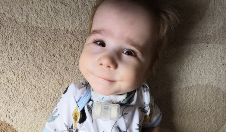 Егор Некрасов: октябрь 2020