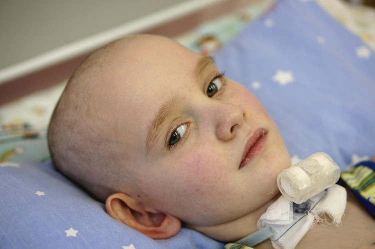 Лёша Утробин: ноябрь 2019