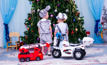 Мечты доставлены в учреждения