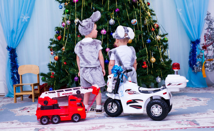 Мечты доставлены в учреждения