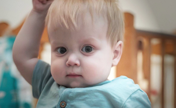 «Дедморозим» закрывает самый большой сбор за пять лет