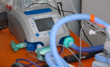 Дело не в Алисе