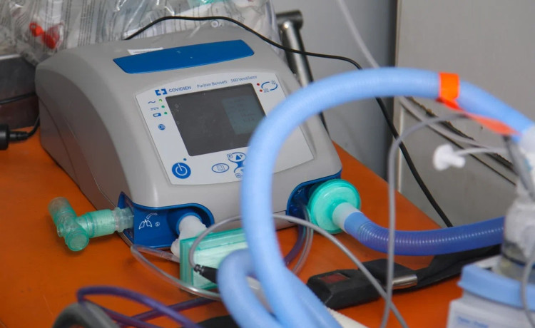 Дело не в Алисе