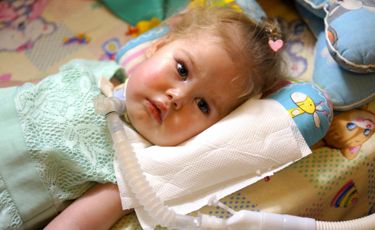 Ева Вихарева