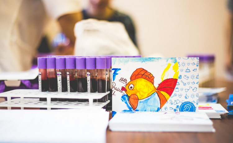 Перерыв в приёме потенциальных доноров костного мозга до 10 января