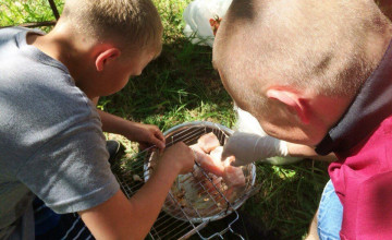 Ребята из детского дома нашли место под солнцем