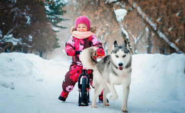 Хаски спешит на помощь
