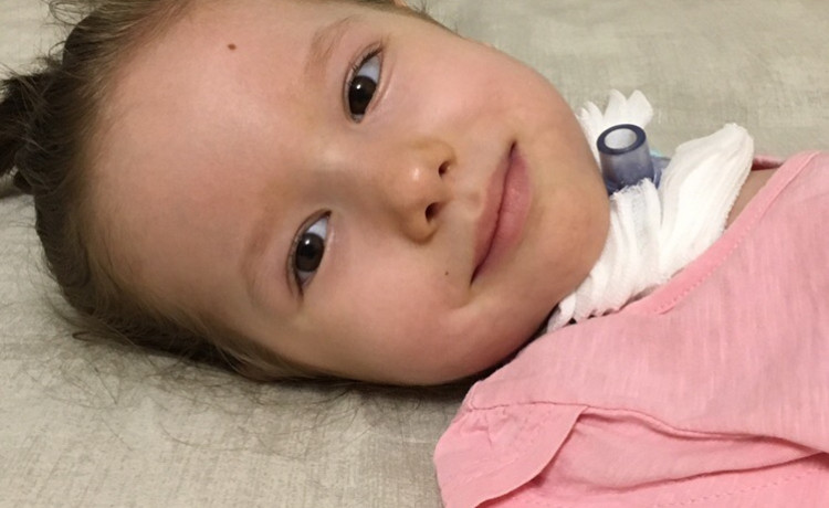 Вы чудеснее единорога!