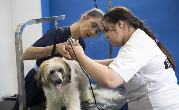 Катя и её искусство маленьких шагов