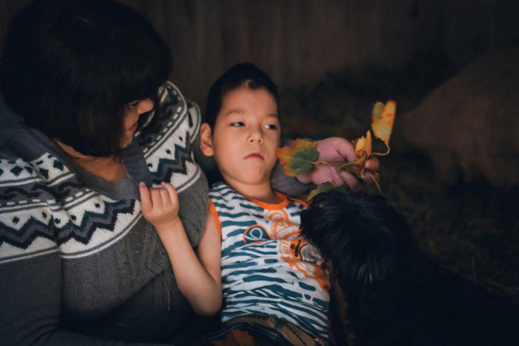 Богдан Ан: декабрь 2019