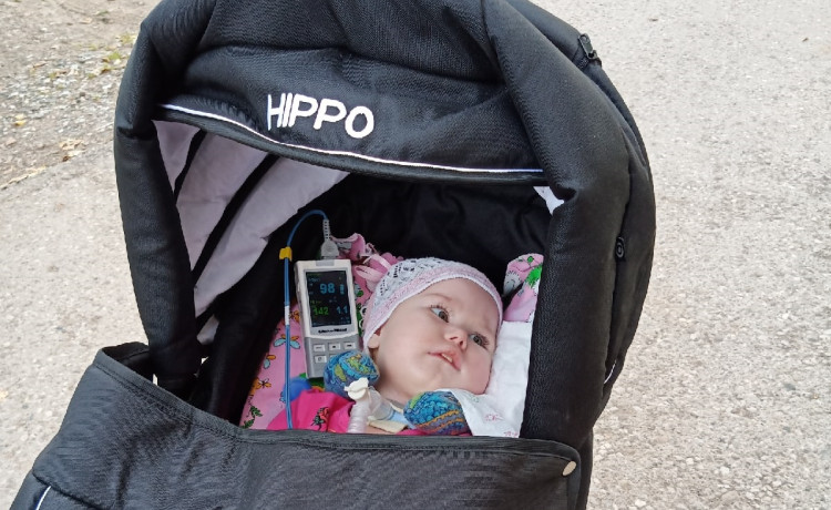 Вы подарили прогулки для Евы